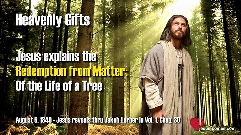 Redemption from Matter... The Life of a Tree ❤️ Jesus reveals Heavenly Gifts thru Jakob Lorber