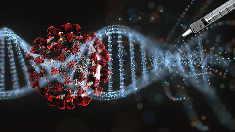 Peer-Reviewed: mRNA Jab Modifies DNA