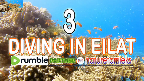 Diving in Eilat Part-3