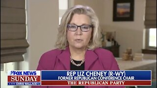 Never Trump Liz Cheney Joins Chris Wallace to Whine About Being Ousted From GOP Leadership