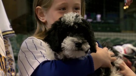 Brewers' Christian Yelich helps dad make good on promise for puppy