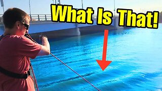GIANT MAGNET Uncovers the Most Insane Fishing JACKPOT!!