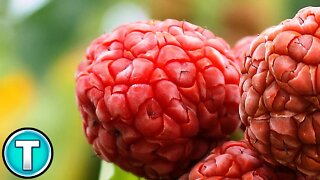 Top 10 Fruits You've Never Heard Of Part 5