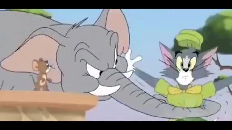 Tom and Jerry funny video || funny moments