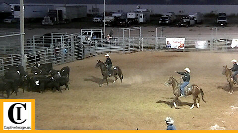 Team Sorting - 2023 West Texas Ranch Rodeo | Friday