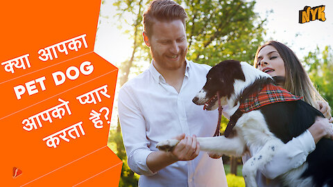 क्या आपका Pet Dog आपको प्यार करता है? *