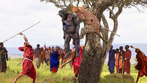 Foolish! Recklessly Hunting Monkeys In A Restricted Area, Leopards Are Surrounded By Maasai Natives