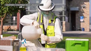 Wastewater testing at CSU finds high levels of COVID-19, 900 students told to self-quarantine