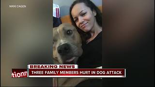 Dog stabbed to death after attacking Safety Harbor family