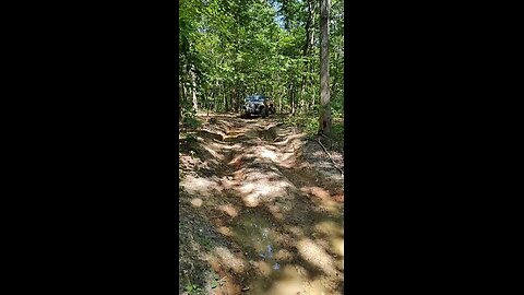 love my jeep and the woods