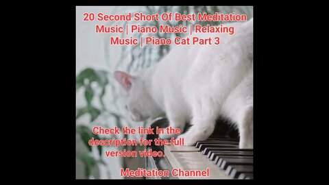 20 Second Short Of Best Meditation Music | Piano Music | Relaxing Music | Piano Cat Part 3 #shorts