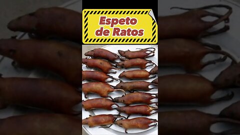 🐀COMER RATO ASSADO #shortsyoutube #shorts #short