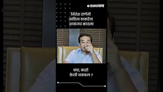 नितेश राणेंनी आदित्य ठाकरेंचा आवाजच काढला | Nitesh Rane On Aditya Thackeray | Sarkarnama | #shorts