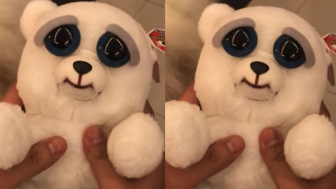 Seemingly Innocent Plush Toy Ends Up Being Absolutely Terrifying