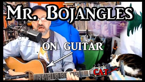 Mr. Bojangles on Guitar (with my cat)