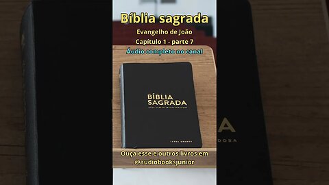 Bíblia Sagrada - Evangelho de João - Capítulo 1 - parte 7