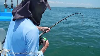 Catching big black jew fish at Hinchinbrook north Queensland