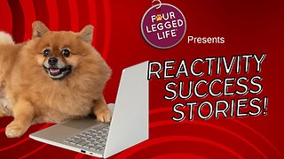 Dog Reactivity Success Stories