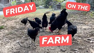 Garden & Farm Tour - Friday on the Farm! #FridayontheFarm