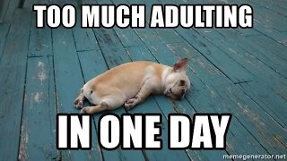 HOW IT REALLY IS ADULTING..