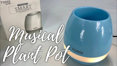 Smart Plant Pot with Bluetooth Music and Night Light by TOKQI Unboxing