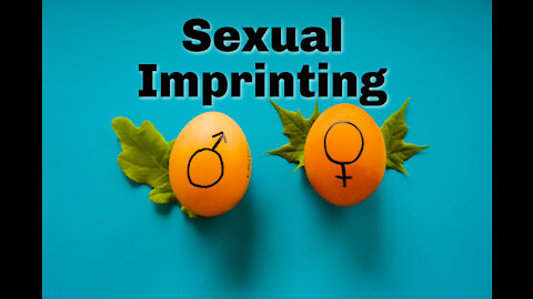 Sexual Imprinting