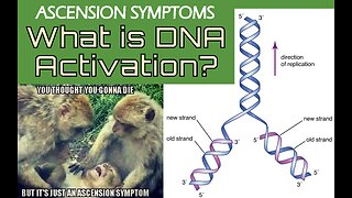 Ascension Symptoms - What is DNA Activation?