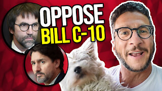 Canada's Bill C-10 is Disguised POLITICAL CENSORSHIP! Viva Frei Vlawg