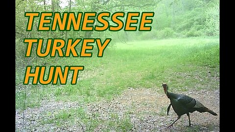 Tennessee Spring Turkey Hunt