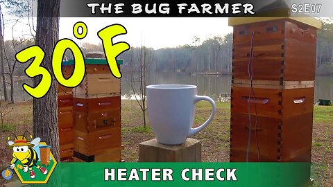 Quick Temp Check -- Checking the beehive heaters and hive temp on a 28F morning. All is good.