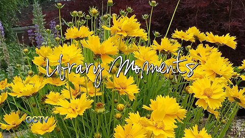 Library Moments: Perennials Attracting Butterflies with Buds & Blooms Gardening
