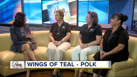 Positively Tampa Bay: Wings of Teal