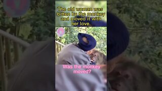 This Lady was bitten by the monkey and moved it with love ❤️ #shorts #kindness