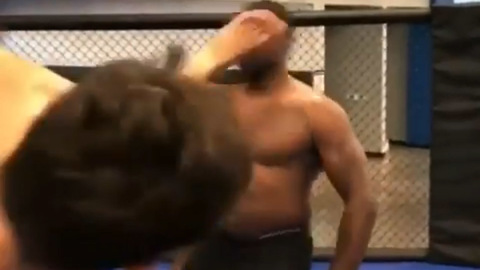 Floyd Mayweather KO'd in MMA Cage in Hilarious Parody