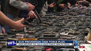 Anne Arundel County Gun Prevention Task Force unveils report