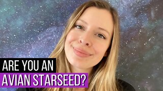 All About Avian Starseeds 7 Clear Signs You Are One