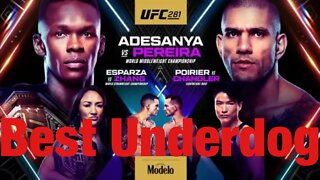 UFC 281 Adesanya Vs Pereira Underdog Of The Card (Best Betting Odds)
