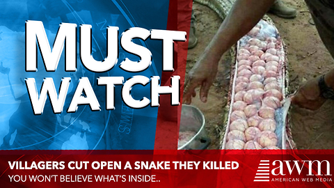 As Soon As Villagers Cut Open Snake They Killed, They Realize Huge Mistake They Made