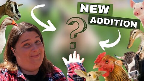 What's New On The Homestead | We Have A New Addition!