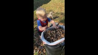 Baby Helps With Yard work