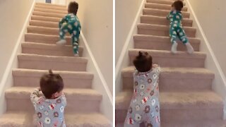 Crazy kids have fun sliding down the stairs