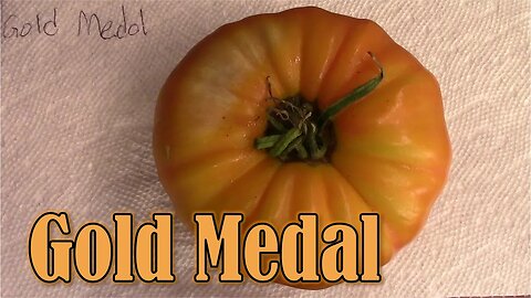 Tomato Review: Gold Medal