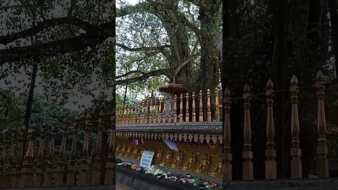 The Kelaniya Raja Maha Vihara: A Place of Peace and Tranquility