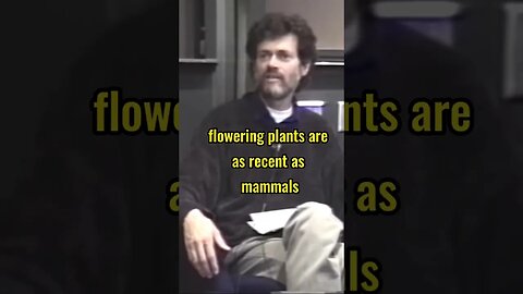 Terence McKenna: This is something people don't realize...