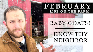 Baby goats! | Know Thy Neighbor - Feb. 2021 - Life on the Farm