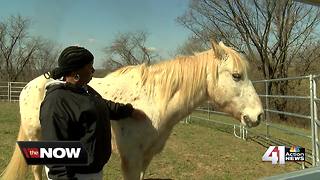 KCRM Women's Center launches equine therapy program