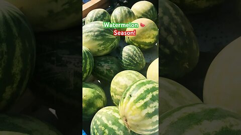 Watermelon Season ! #watermelon