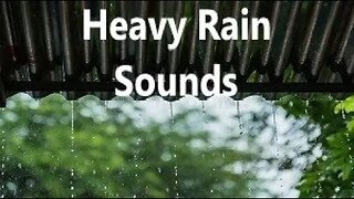 11 Hours of Heavy Rain Thunder Bird Sounds for Fast Deep Sleep In Minutes, Relax, Study, Meditate