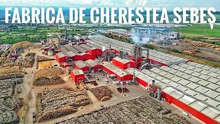Cea mai mare fabrică de cherestea din România, Schweighofer Sebeș, vândută nemților de la Ziegler