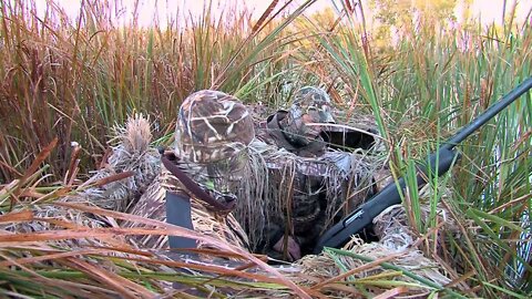 Morning Duck Hunt in Minnesota